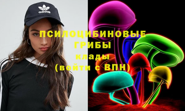 mdma Богородицк