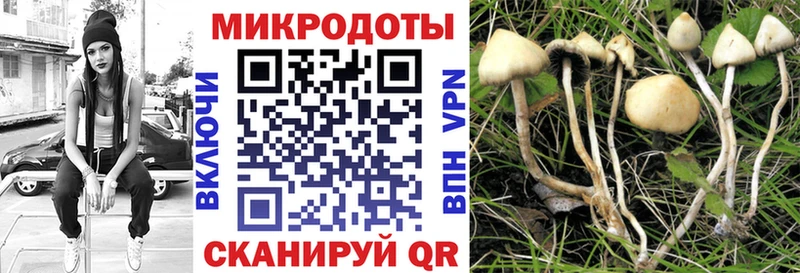 Галлюциногенные грибы MAGIC MUSHROOMS  Купить закладки  Нестеров 